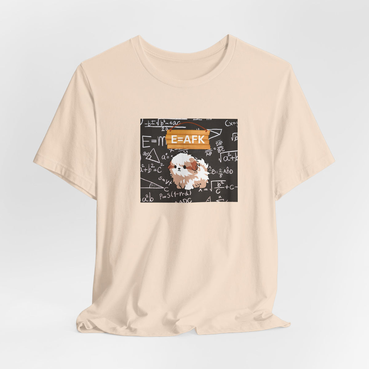 E=AFK Math Porg T-Shirt