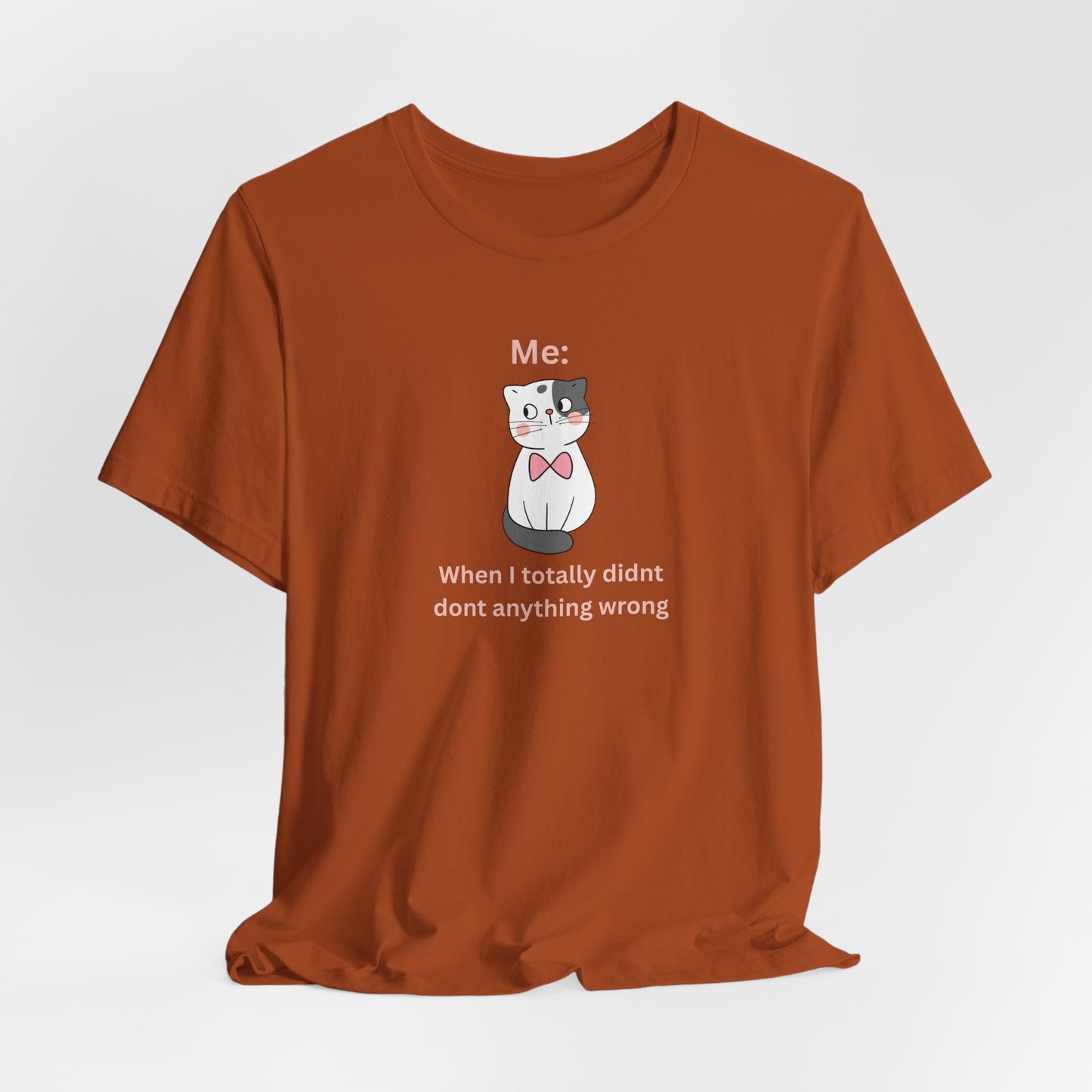 Kawaii Cat Tee — "When I Didn’t Do Anything Wrong" Cute Graphic T-Shirt